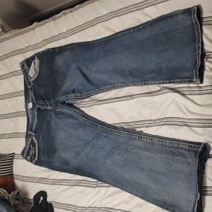 Dark denim boot cut plus size jeans